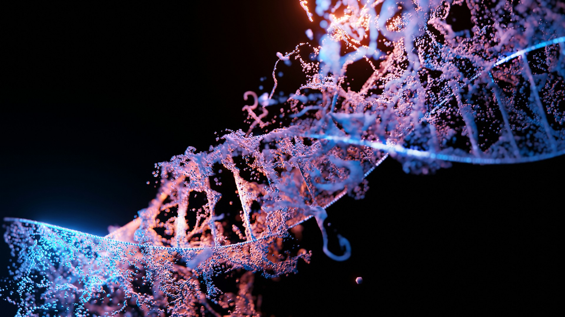3D DNA