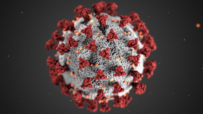 3D illustration of a spherical coronavirus particle with a gray surface and red spike proteins, against a dark gray background, conveying a serious tone.