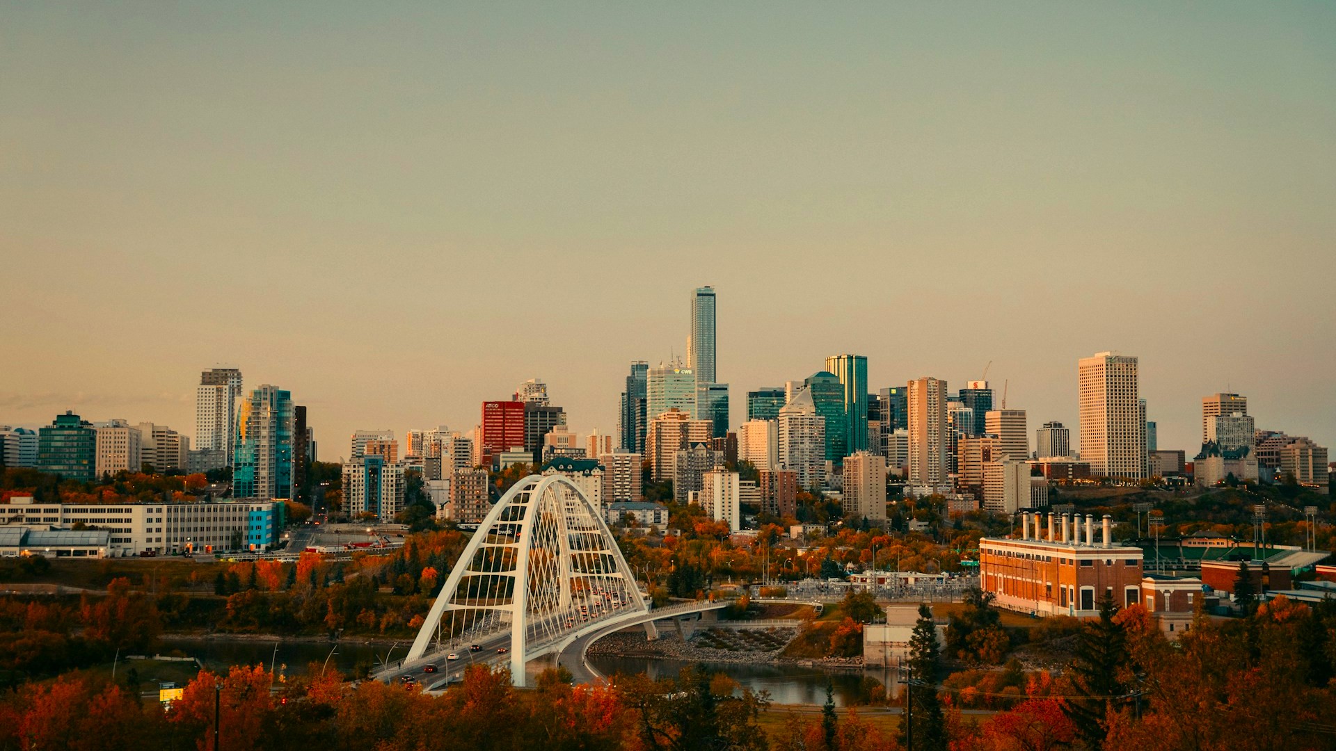 Animation Studio in Edmonton