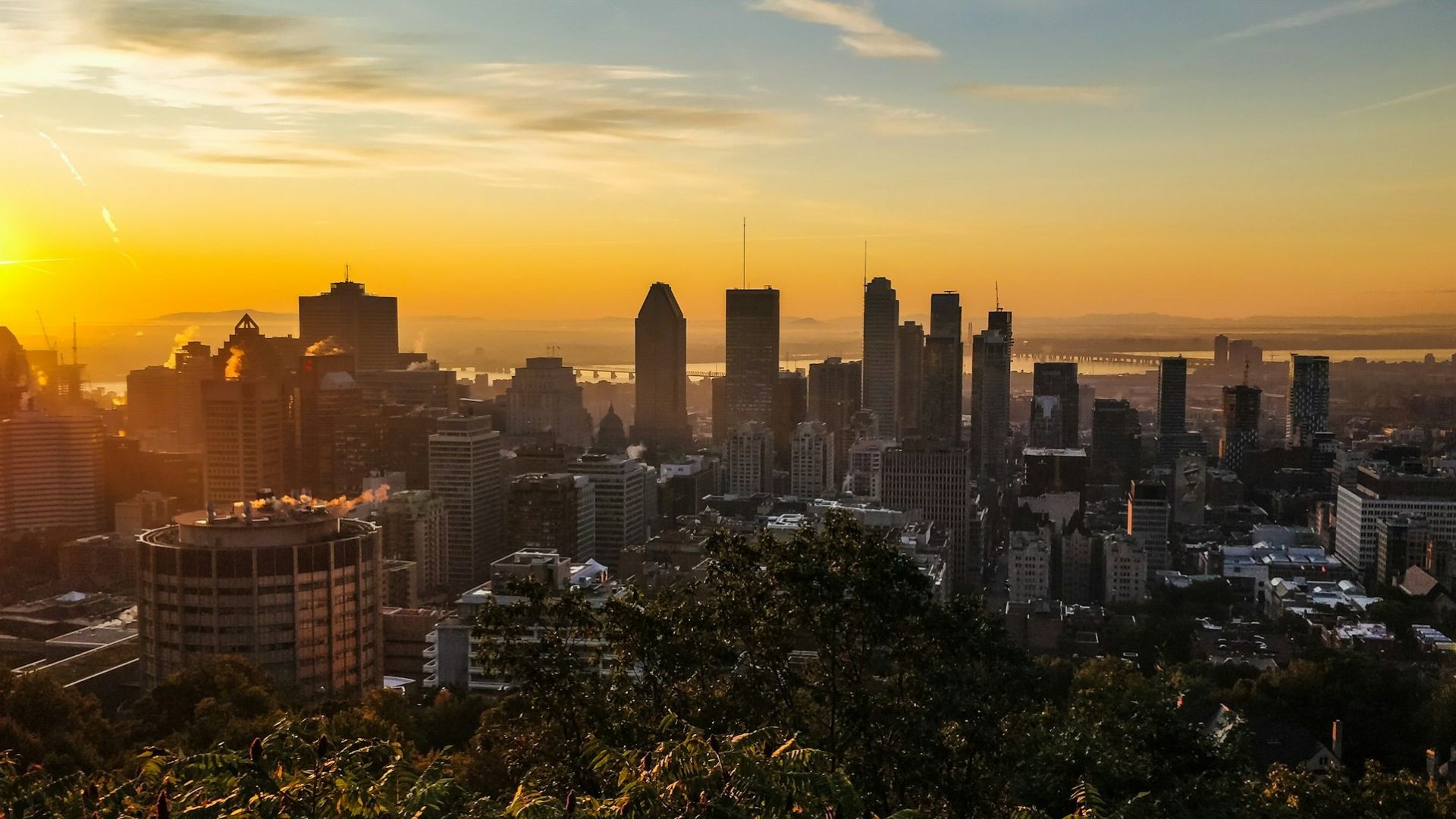 Animation Studios In Montreal