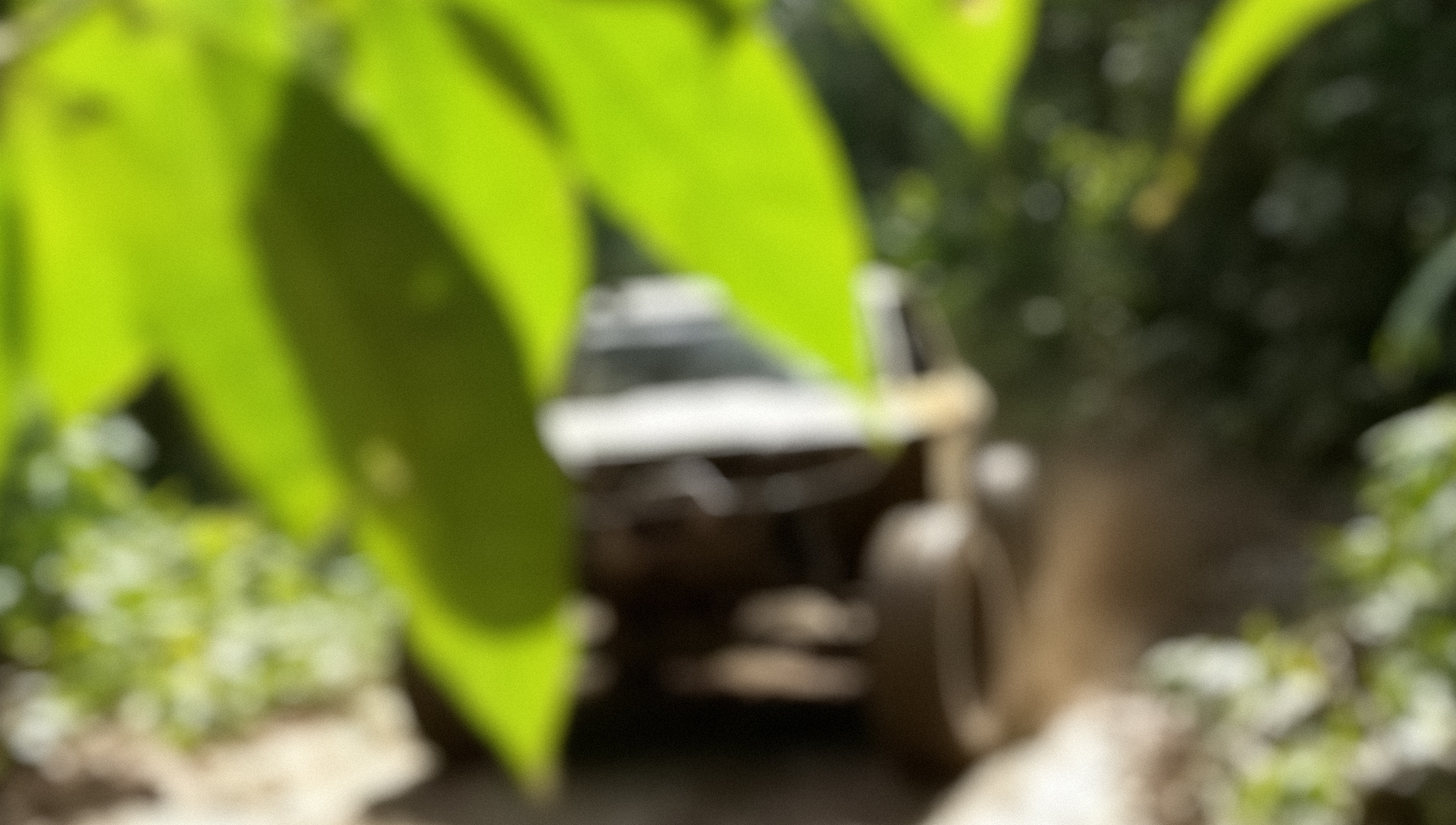 A blurry off-road vehicle is partially obscured by bright green leaves in a dense forest, creating a sense of motion and adventure.